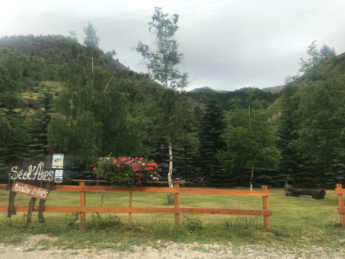 Studio Chaleureux A La Foux D'Allos Exterior foto